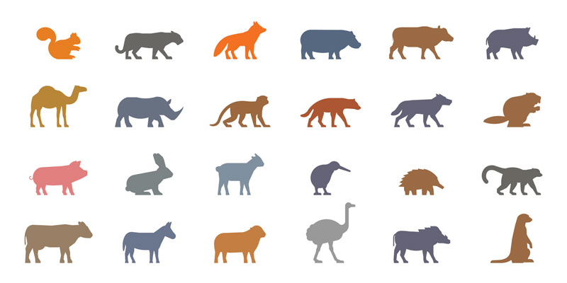 Colored Animals
